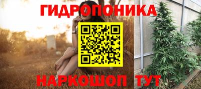 jwh Гусь-Хрустальный