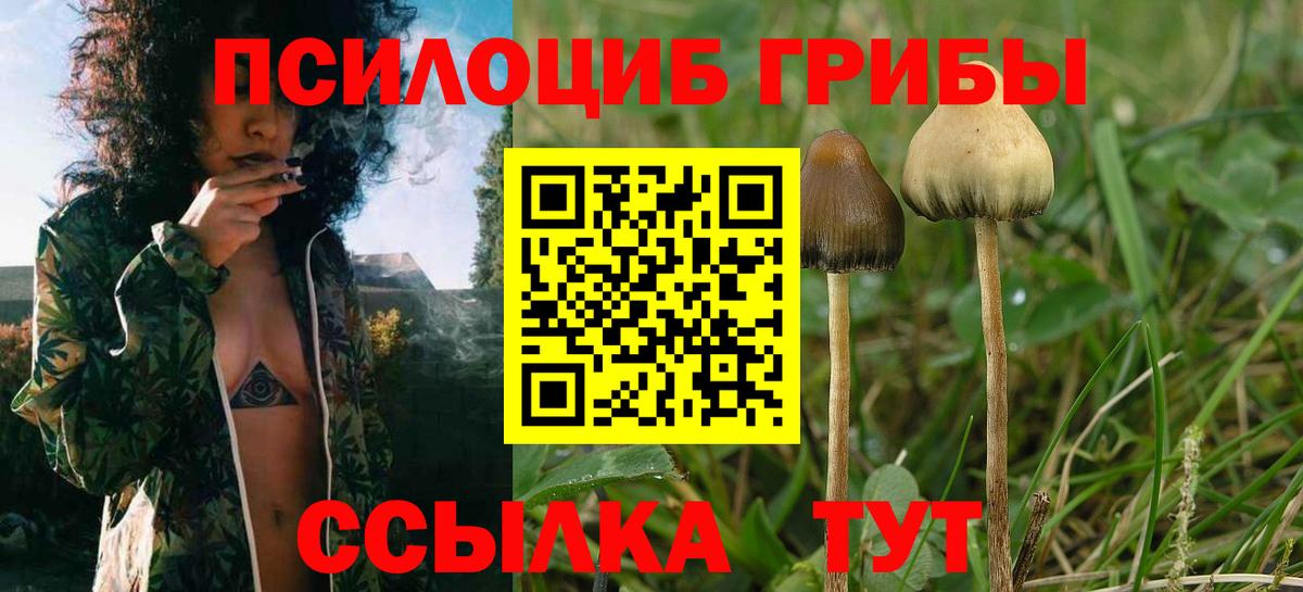 Псилоцибиновые грибы мухоморы  Вход с VPN  Малоярославец 